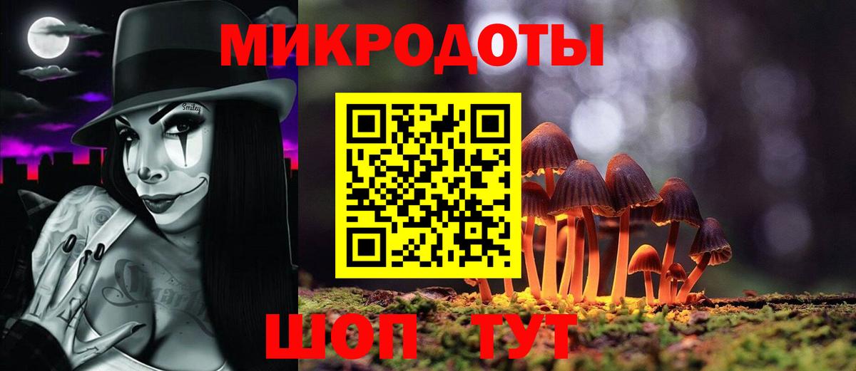 Псилоцибиновые грибы Cubensis Конаково