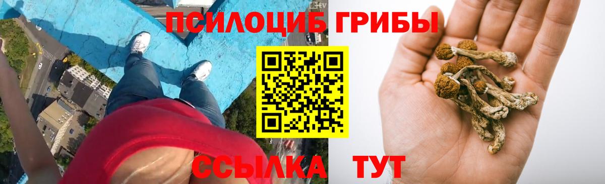 Конаково  Псилоцибиновые грибы GOLDEN TEACHER  Вход с VPN 
